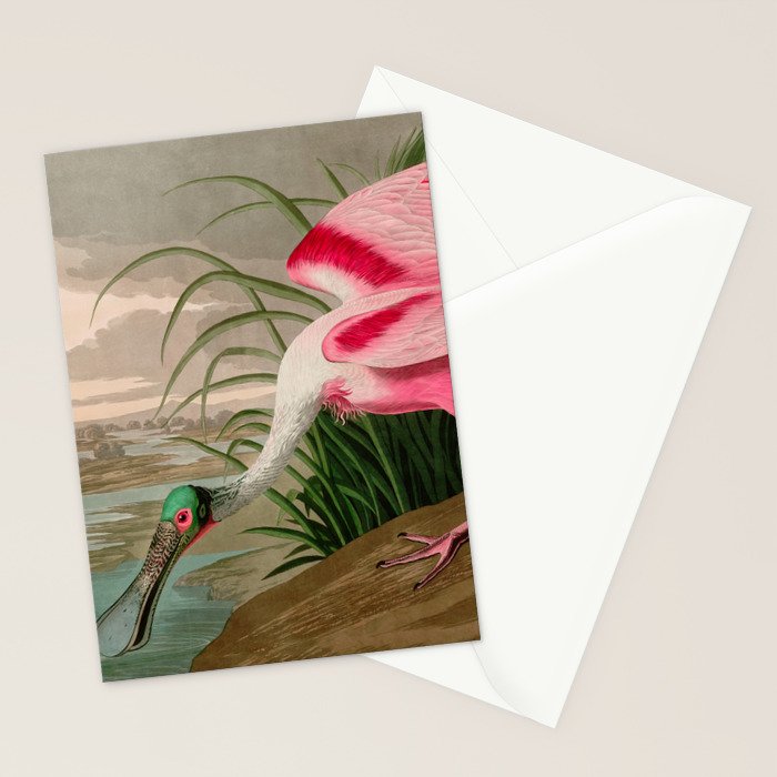 Roseate Spoonbill Birds of America Audubon Illustration Bird Lovers Gift Stationery Card Gallery Image 2