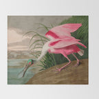 Roseate Spoonbill Birds of America Audubon Illustration Bird Lovers Gift Throw Blanket Gallery Image 2