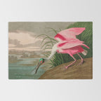 Roseate Spoonbill Birds of America Audubon Illustration Bird Lovers Gift Rug Gallery Image 2