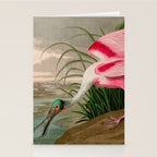 Roseate Spoonbill Birds of America Audubon Illustration Bird Lovers Gift Stationery Card Gallery Image 2