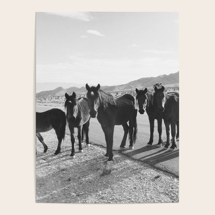 Cold Creek Horse Crew Poster Gallery Image 1