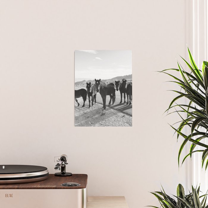 Cold Creek Horse Crew Poster Gallery Image 2