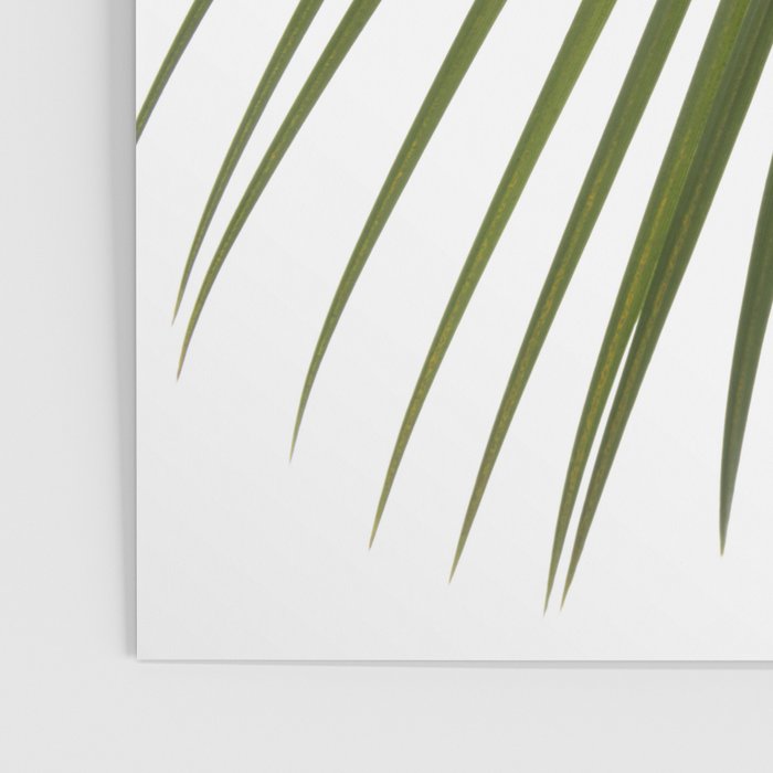 Palm Leaves I Poster Gallery Image 3
