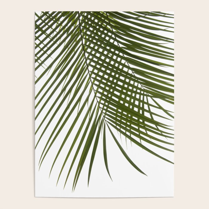 Palm Leaves I Poster Gallery Image 4