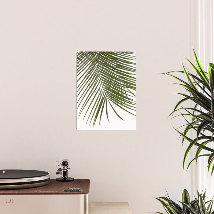 Palm Leaves I Poster Gallery Image 2