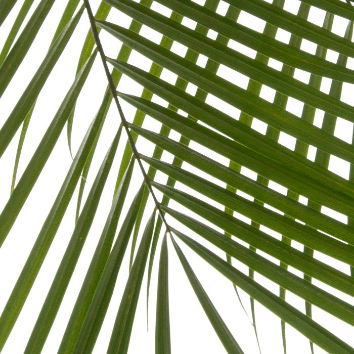 Palm Leaves I Coffee Mug Gallery Image 2