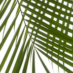 Palm Leaves I Coffee Mug Gallery Image 2