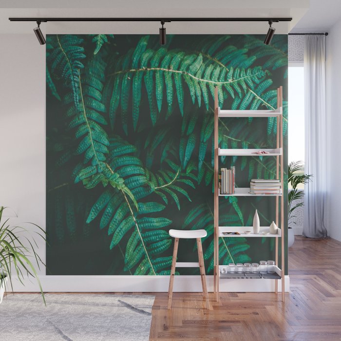 Ferns  Wall Mural Gallery Image 1