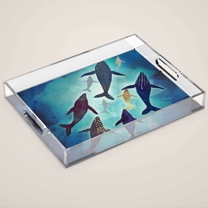 Light Above Acrylic Tray Gallery Image 1