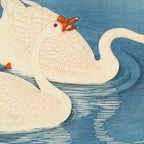 Shoson Two Geese Swimming Near Shore Antique Japanese Woodblock Print  Coffee Mug Gallery Image 2