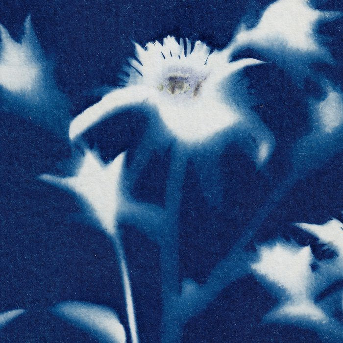 Magic in the Ordinary #1 Coffee Mug Gallery Image 2