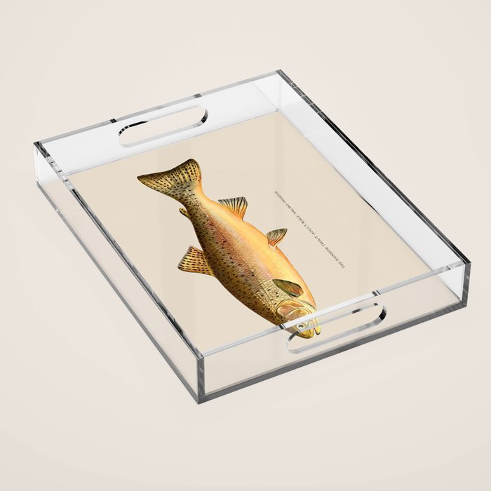 The Rainbow Trout Acrylic Tray Gallery Image 1
