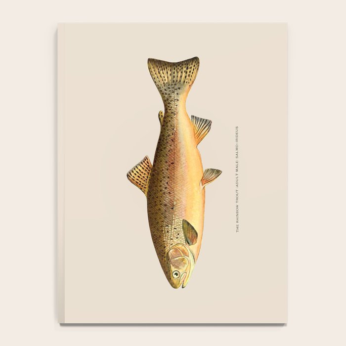 The Rainbow Trout Notebook Gallery Image 4