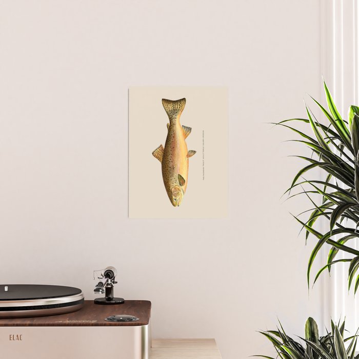 The Rainbow Trout Poster Gallery Image 2