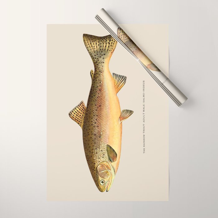 The Rainbow Trout Wrapping Paper Gallery Image 1