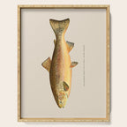 The Rainbow Trout Serving Tray Gallery Image 1