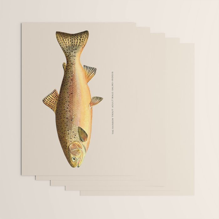 The Rainbow Trout Wrapping Paper Gallery Image 3