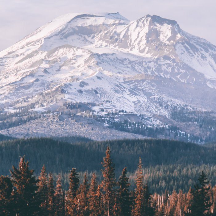 South Sister Coffee Mug Gallery Image 2