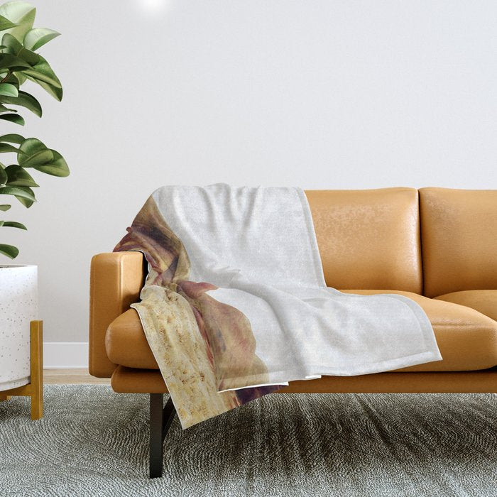 Oregon Painted Hills Throw Blanket Gallery Image 1