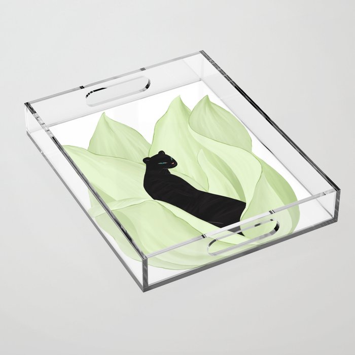 Black Panther in Sansevieria Acrylic Tray Gallery Image 1