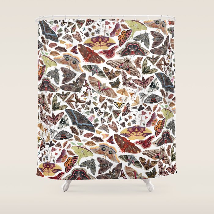 Moths of North America Pattern Shower Curtain Gallery Image 1