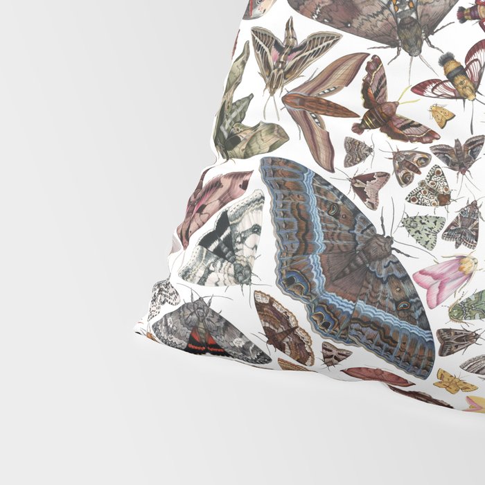 Moths of North America Pattern Pillow Sham Gallery Image 4