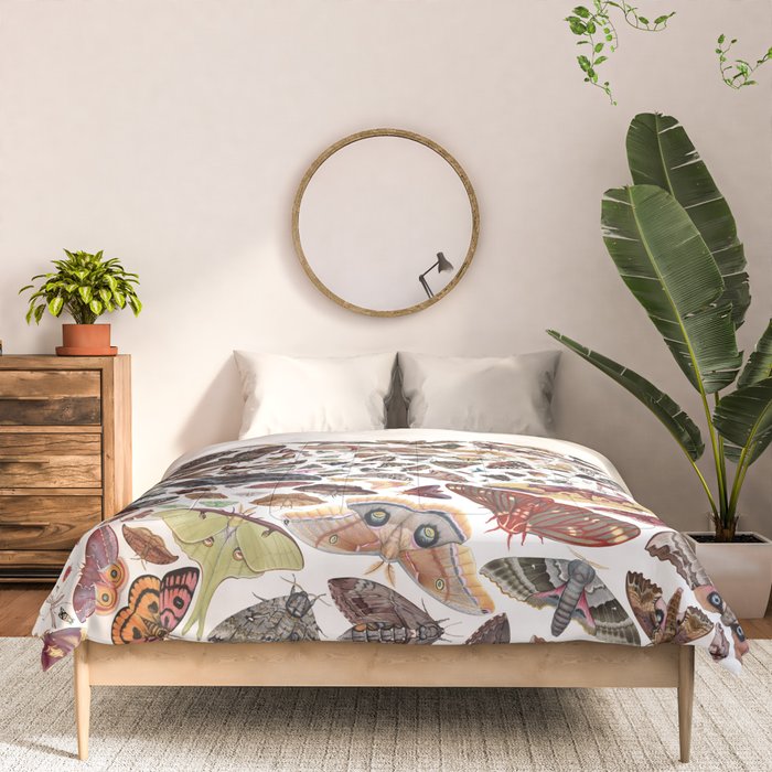 Moths of North America Pattern Comforter Gallery Image 3