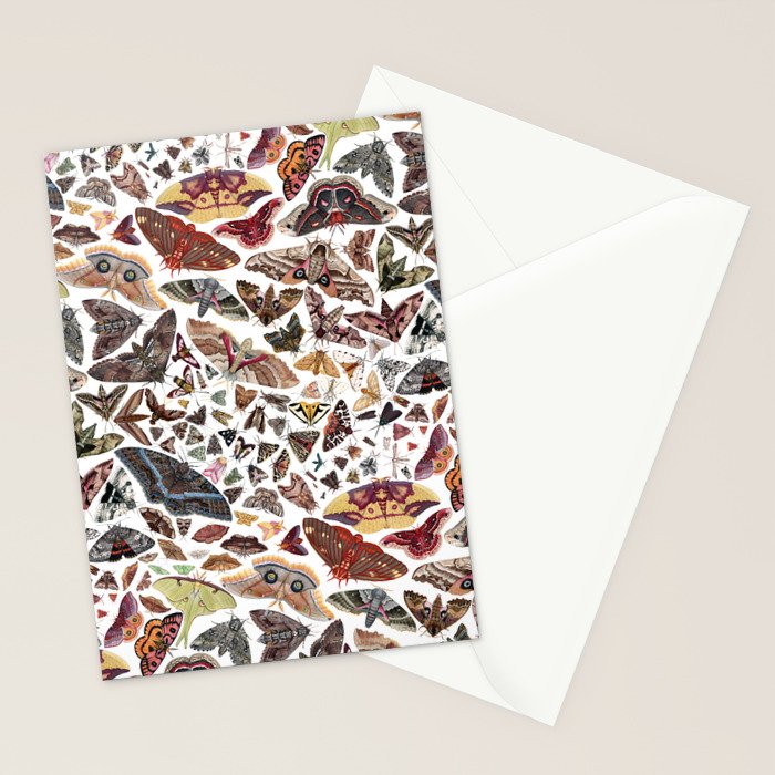 Moths of North America Pattern Stationery Card Gallery Image 2