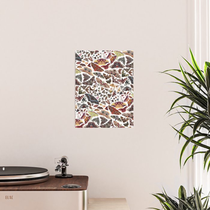 Moths of North America Pattern Poster Gallery Image 2