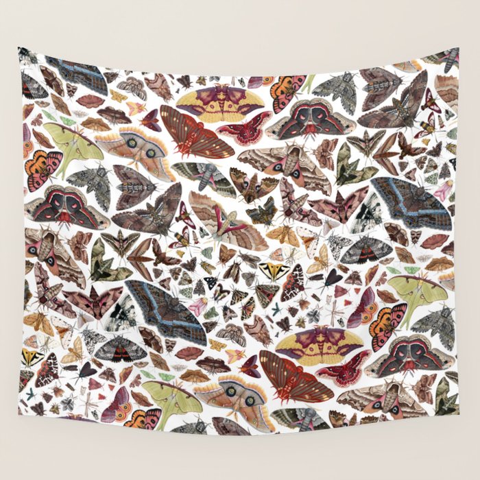 Moths of North America Pattern Wall Tapestry Gallery Image 1