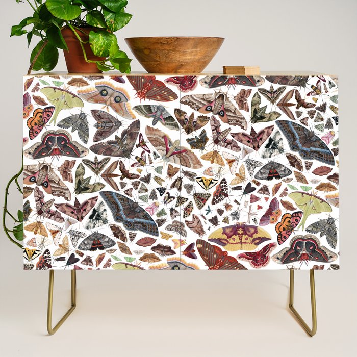 Moths of North America Pattern Credenza Gallery Image 1