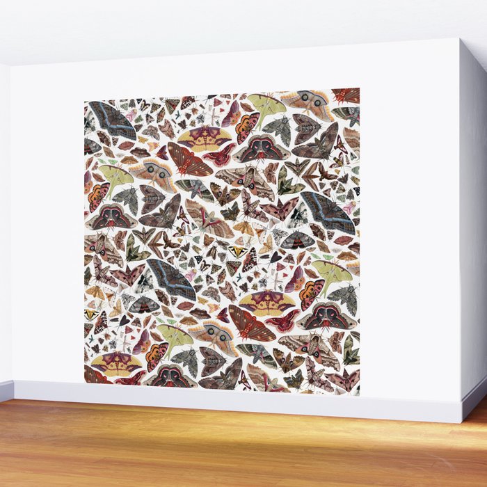 Moths of North America Pattern Wall Mural Gallery Image 2