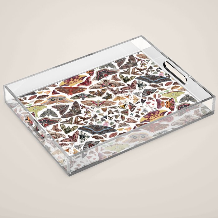 Moths of North America Pattern Acrylic Tray Gallery Image 1
