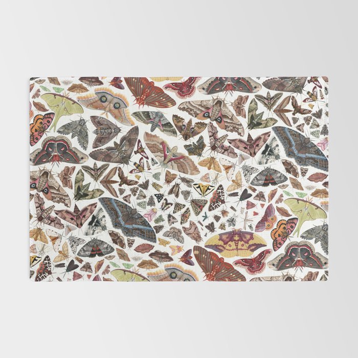 Moths of North America Pattern Rug Gallery Image 2