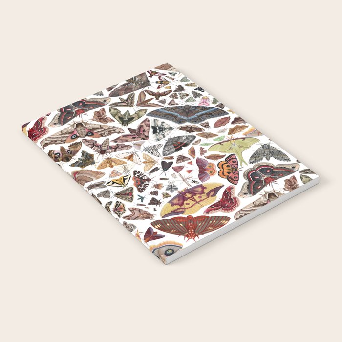 Moths of North America Pattern Notebook Gallery Image 1