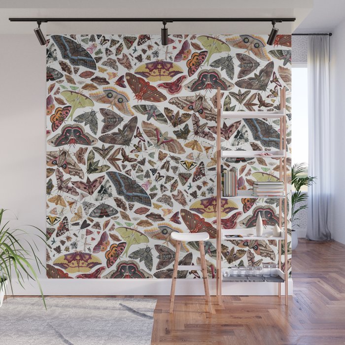 Moths of North America Pattern Wall Mural Gallery Image 1