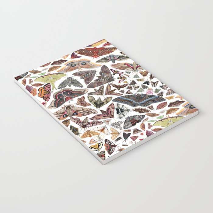 Moths of North America Pattern Notebook Gallery Image 3