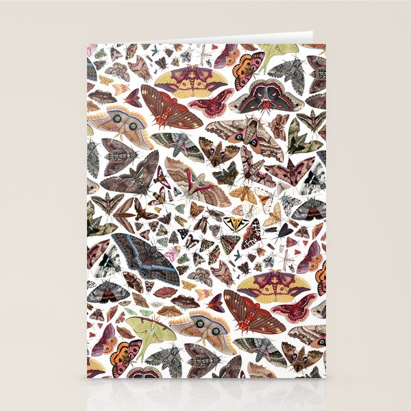 Moths of North America Pattern Stationery Card Gallery Image 2