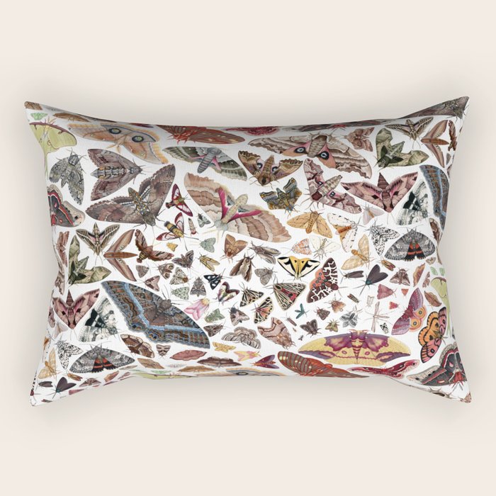 Moths of North America Pattern Rectangular Pillow Gallery Image 1