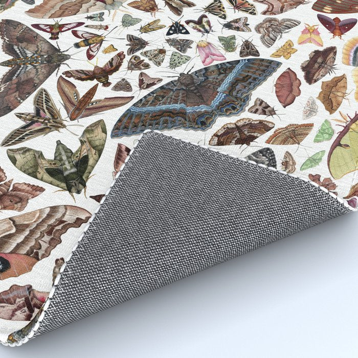 Moths of North America Pattern Rug Gallery Image 4
