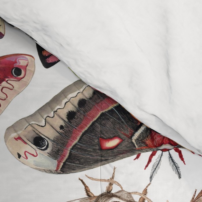 Moths of North America Pattern Comforter Gallery Image 4