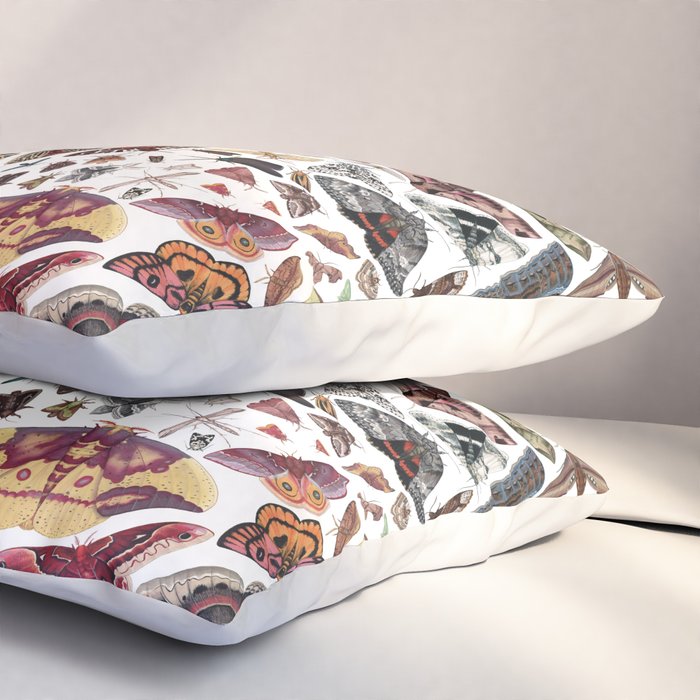 Moths of North America Pattern Pillow Sham Gallery Image 3