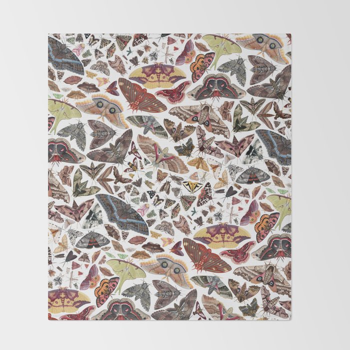 Moths of North America Pattern Throw Blanket Gallery Image 2