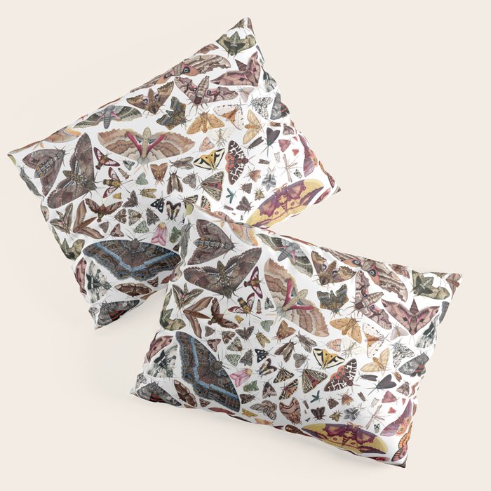 Moths of North America Pattern Pillow Sham Gallery Image 3