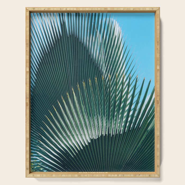 Cuban Palm Tree Serving Tray Gallery Image 1