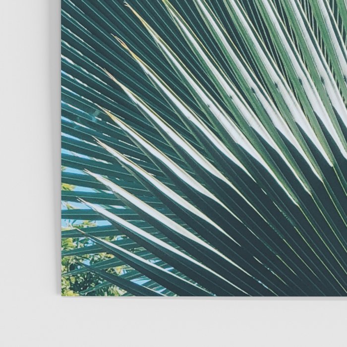 Cuban Palm Tree Poster Gallery Image 3