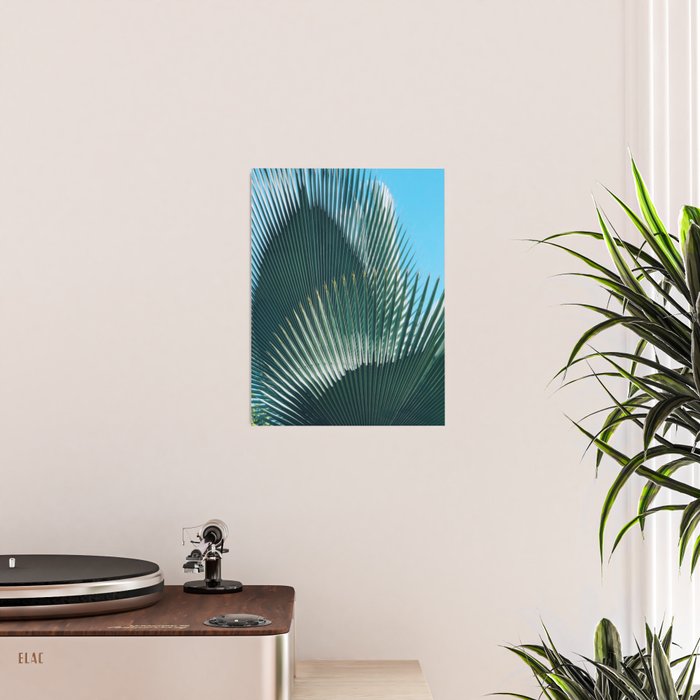 Cuban Palm Tree Poster Gallery Image 2