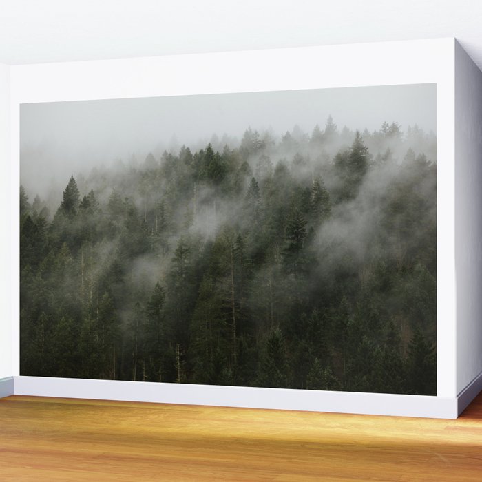 Pacific Northwest Foggy Forest Wall Mural Gallery Image 2