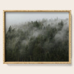 Pacific Northwest Foggy Forest Serving Tray Gallery Image 1