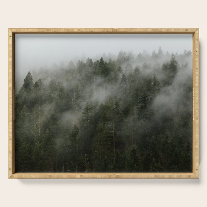 Pacific Northwest Foggy Forest Serving Tray Gallery Image 1